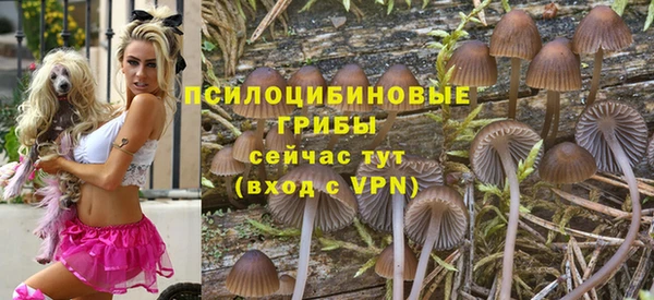 дмт Балабаново