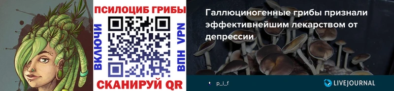 Псилоцибиновые грибы мухоморы  кракен сайт  Белогорск 